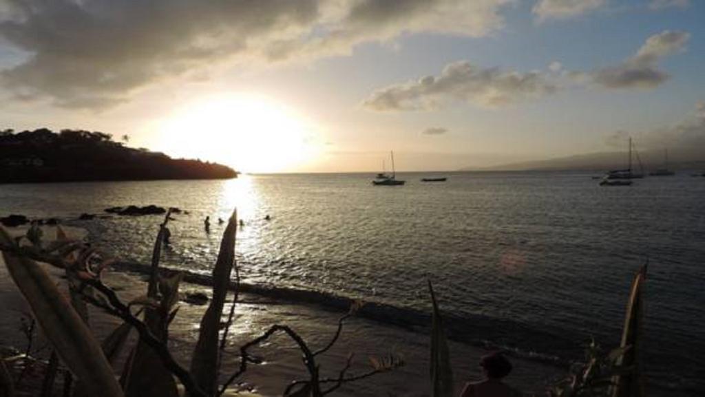 Ocean Bayalocation Apartment L'Anse Mitan Bagian luar foto